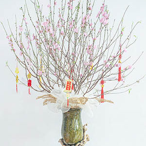 Bình hoa đào cao cấp