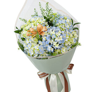 Bó hoa tươi Cẩm tú cầu và em