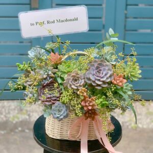 Giỏ hoa sen đá Hoa sen đá