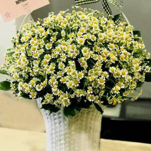 Giỏ hoa tươi Giỏ cúc tana lớn