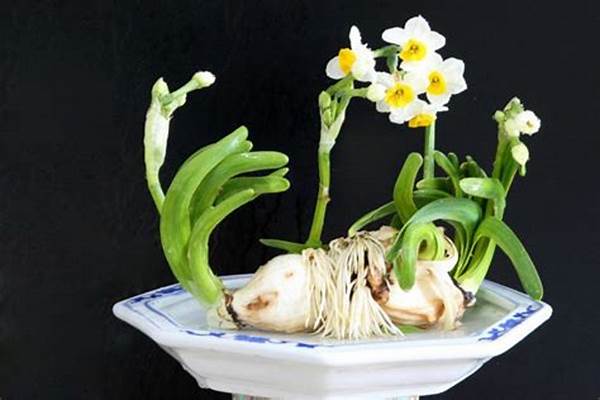 Hoa thủy tiên trắng trong nghệ thuật và thiết kế