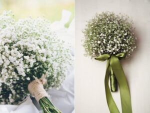 Khám phá ý nghĩa hoa baby trắng: Biểu tượng của tình yêu và sự thuần khiết