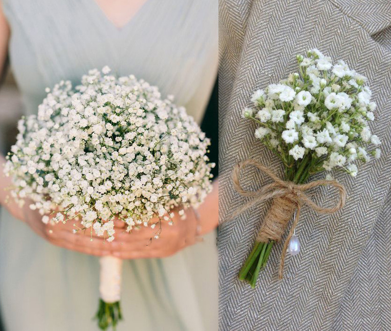 Ý nghĩa của hoa baby trắng trong tình yêu