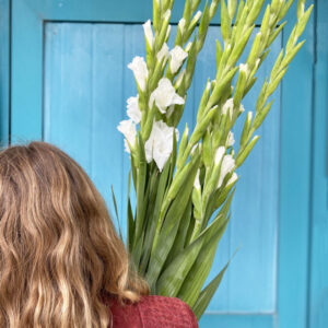 Ý nghĩa hoa lay ơn trắng - Vẻ đẹp thanh thoát và tinh khôi