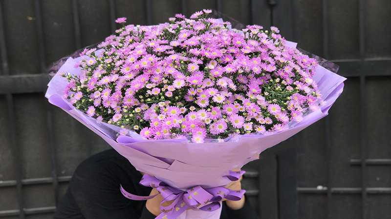 Hoa thạch thảo tím trong văn hóa và lịch sử